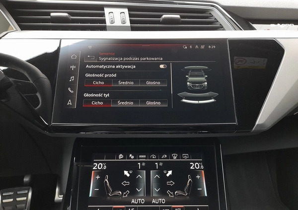 Audi e-tron cena 299900 przebieg: 8135, rok produkcji 2023 z Nisko małe 781